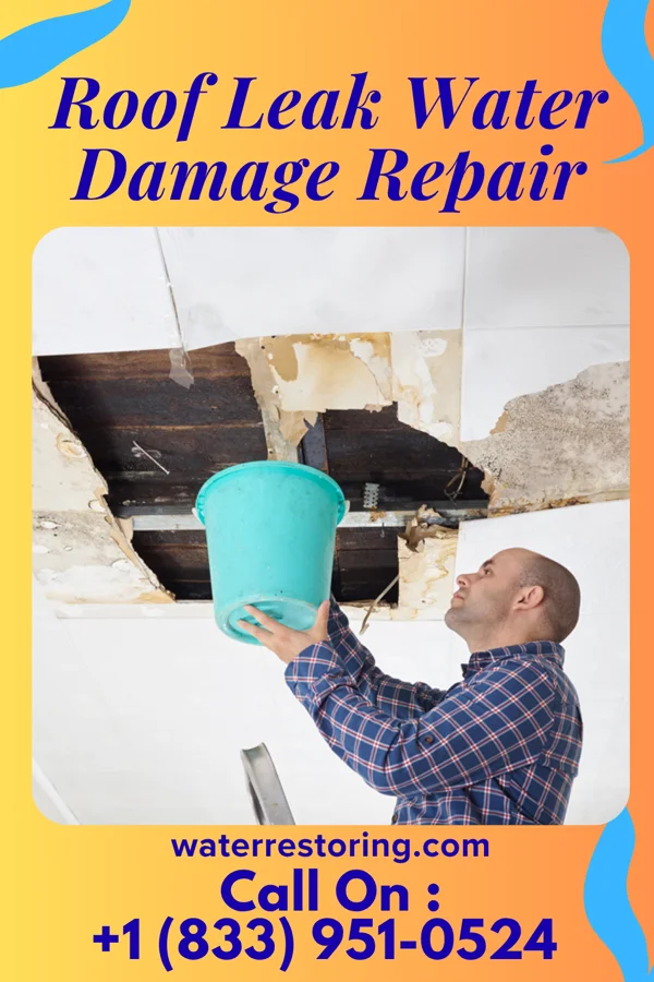 Roof Leak Water Damage Repair in Vining, MN